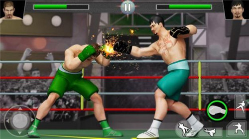 3D拳拳冠军游戏汉化版下载