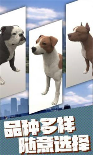 流浪狗生存模拟器中文版