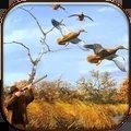 真实野鸭狩猎手机最新版  v1.8.1