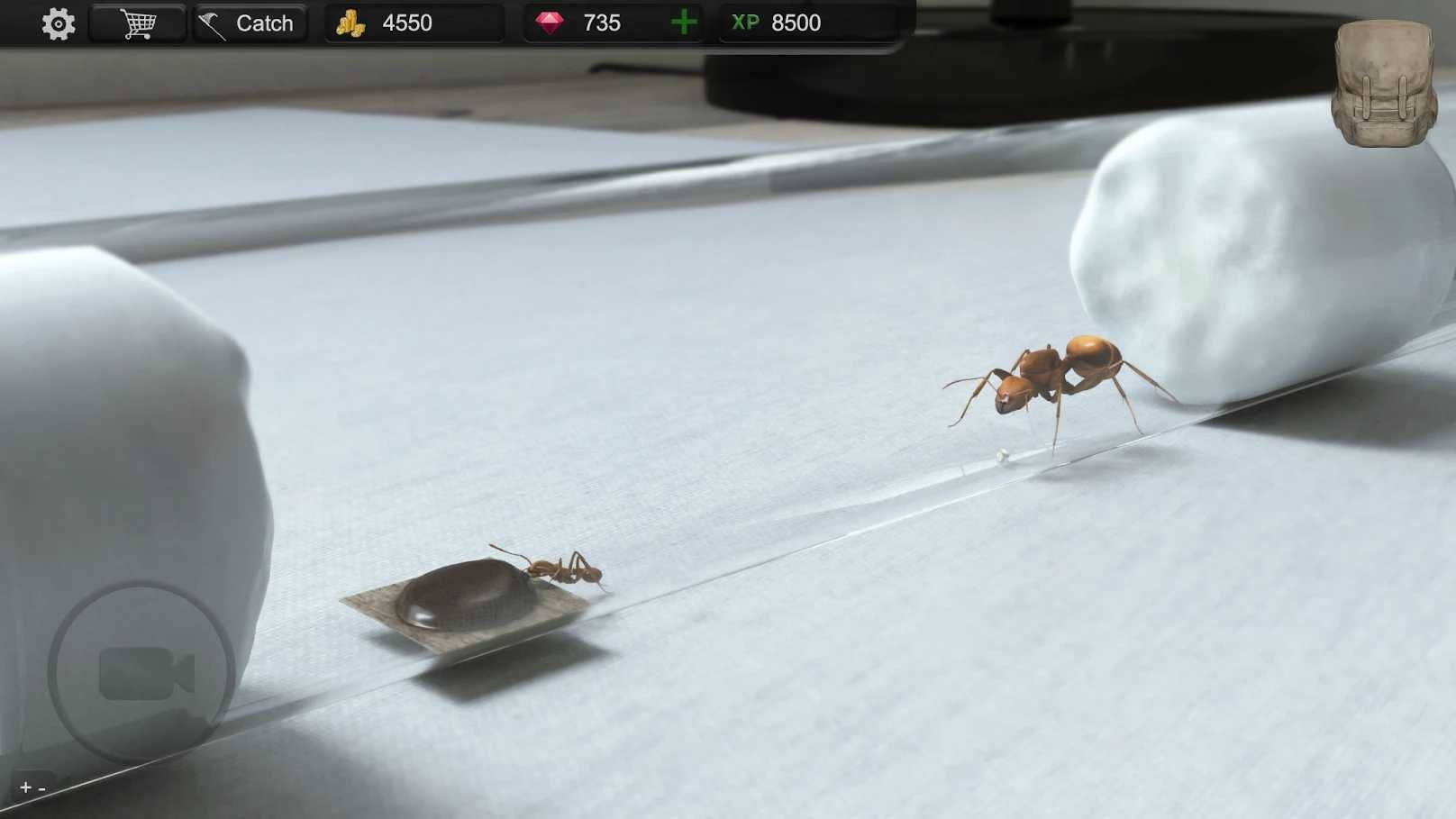 蚂蚁模拟大亨下载