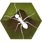 蚂蚁生存模拟器无限金币版  v2.13 