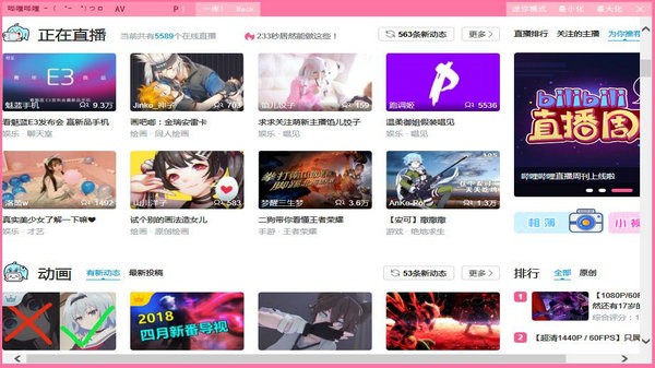 哔哩哔哩电脑版最新版
