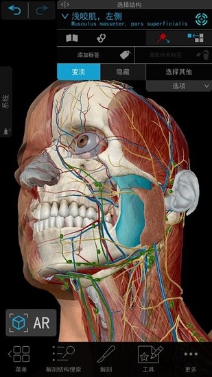 2021人体解剖学图谱ios版本下载