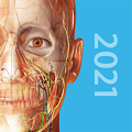2021人体解剖学图谱ios版本